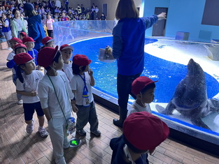 微信图片_20240521104111_调整大小.jpg